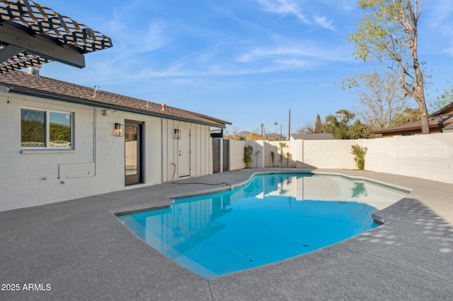 view of pool with a patio area