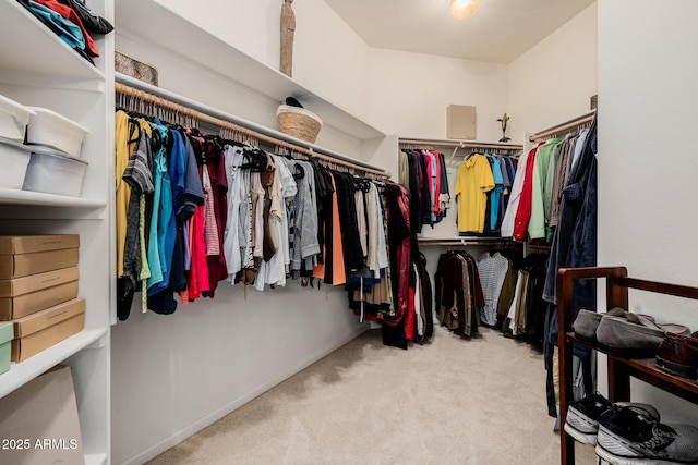 spacious closet featuring carpet