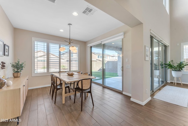 dining room featuring wood-type flooring