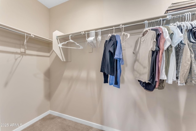 walk in closet featuring carpet