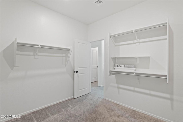 spacious closet featuring light carpet