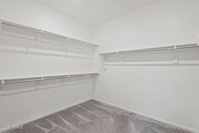 walk in closet featuring carpet floors