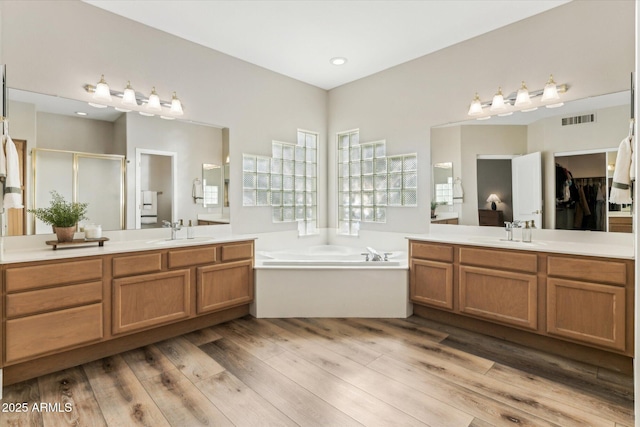 bathroom with wood-type flooring, plus walk in shower, and vanity