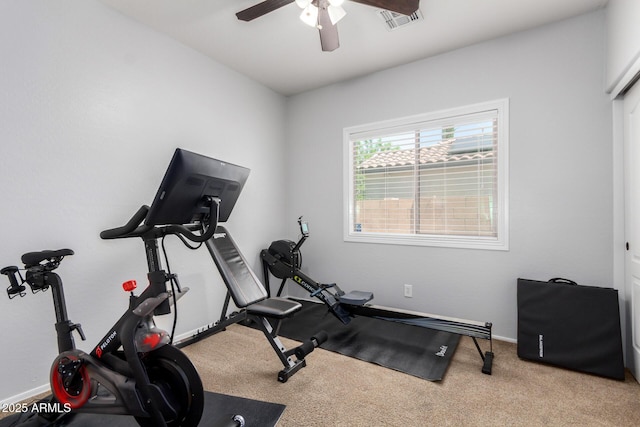 6317 S Banning St, Gilbert, AZ 85298 - workout room featuring a ceiling fan and carpet floors