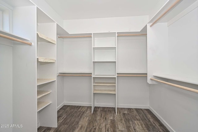 spacious closet with dark wood-type flooring