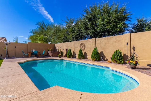 view of pool featuring a patio