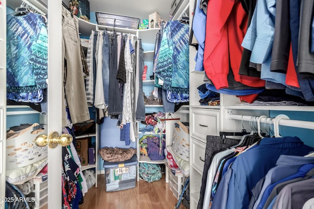 40904 N Hearst Dr, Anthem, AZ 85086 - walk in closet featuring wood finished floors