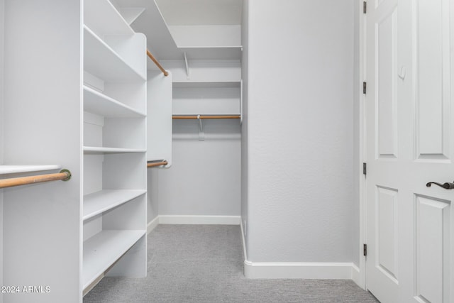 spacious closet with light colored carpet