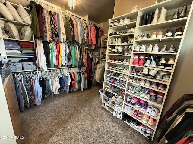 spacious closet featuring carpet