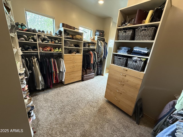 spacious closet with carpet floors