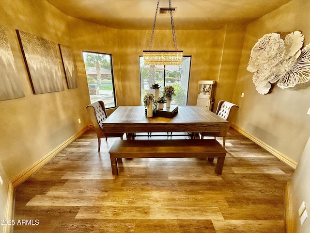 dining room featuring baseboards, plenty of natural light, and wood finished floors