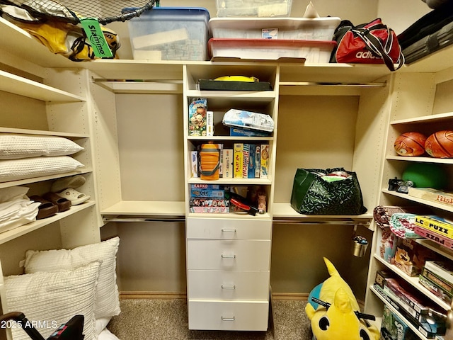 spacious closet featuring carpet floors