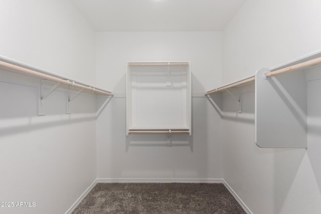 spacious closet featuring dark colored carpet