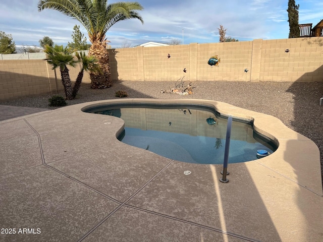 view of pool with a patio area, a fenced backyard, and a fenced in pool