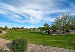 view of property's community with a yard