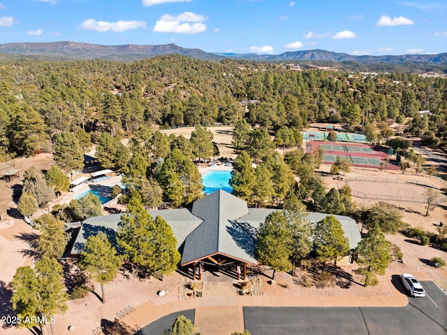 aerial view with a mountain view