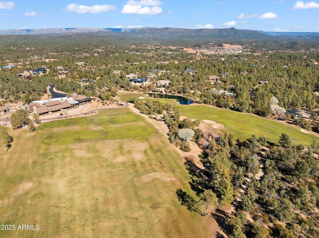 bird's eye view featuring a mountain view