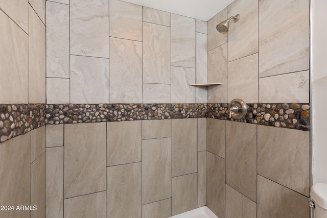 details featuring tiled shower and toilet