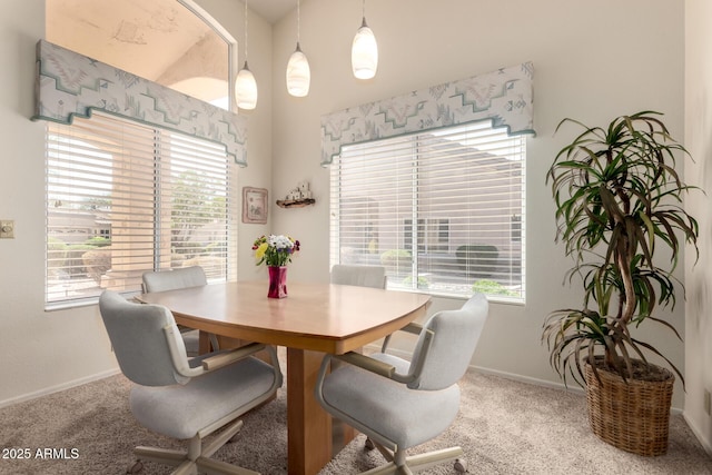 dining room featuring baseboards and carpet