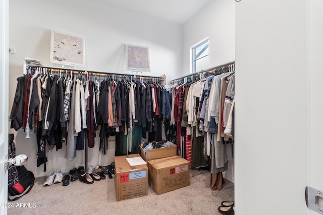 spacious closet featuring carpet flooring