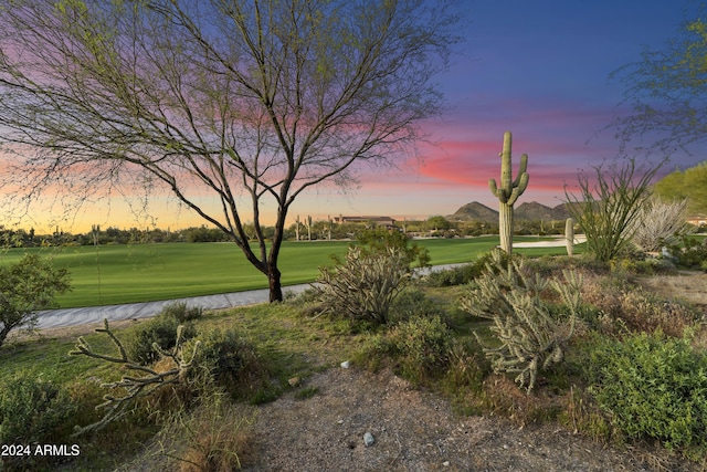 surrounding community featuring a yard