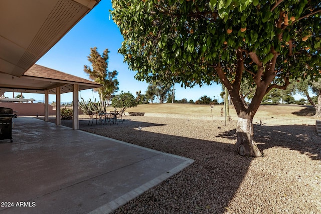 view of yard featuring a patio