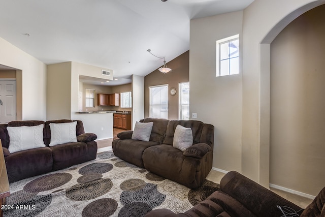 living room with lofted ceiling and a wealth of natural light