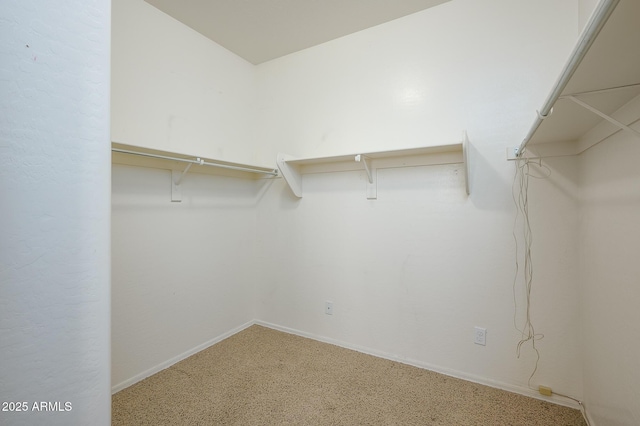 walk in closet featuring carpet floors