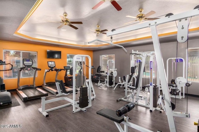 workout area with dark hardwood / wood-style flooring and a tray ceiling