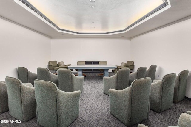 carpeted home theater with a tray ceiling