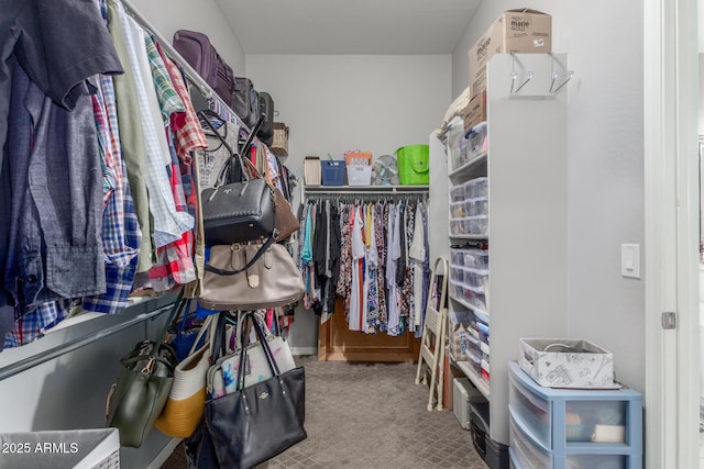 1342 E Milada Dr, Phoenix, AZ 85042 - walk in closet with carpet flooring