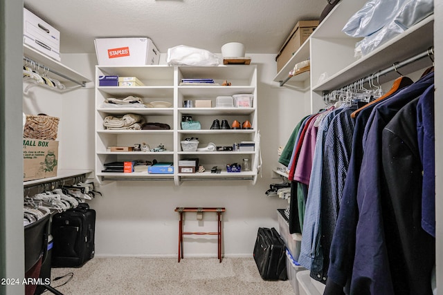 spacious closet with light colored carpet