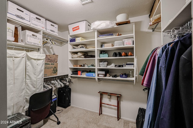 spacious closet featuring light carpet