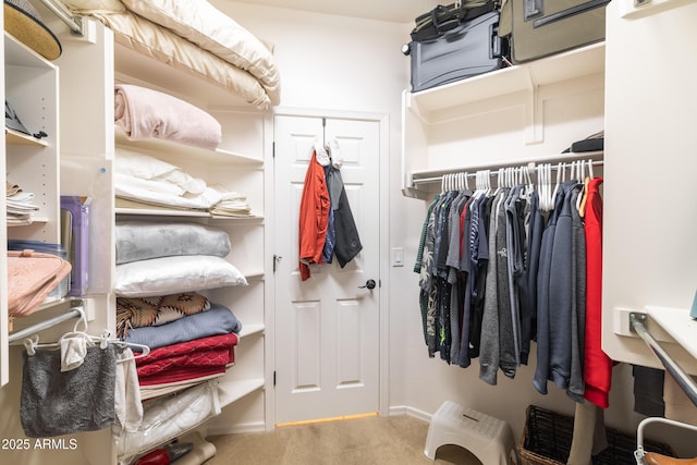 spacious closet with carpet flooring