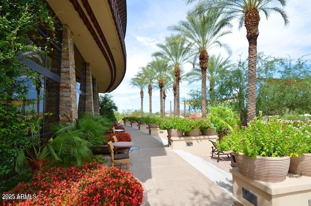 view of property's community with a patio