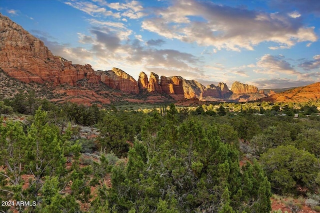 view of mountain feature