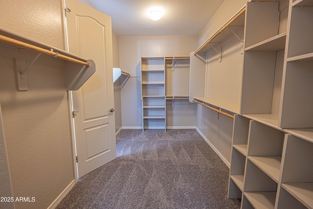 3796 E Rakestraw Ln, Gilbert, AZ 85298 - walk in closet with dark carpet