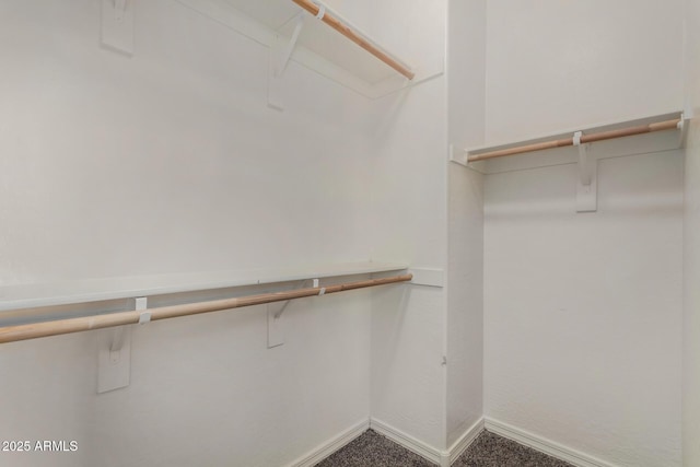 3796 E Rakestraw Ln, Gilbert, AZ 85298 - spacious closet with carpet