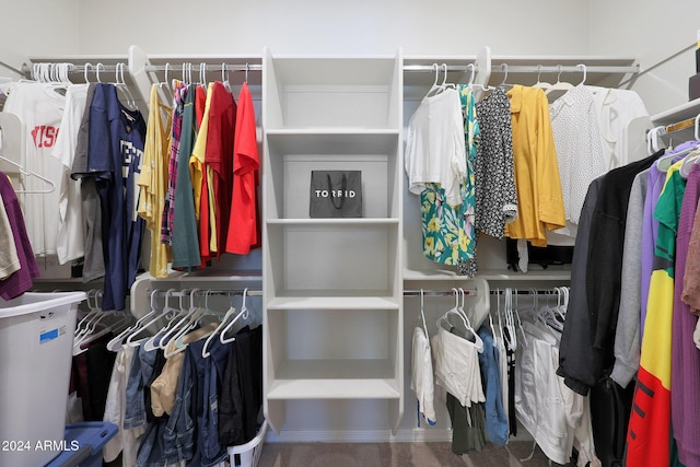 15072 W Mckinley St, Goodyear, AZ 85338 - view of spacious closet