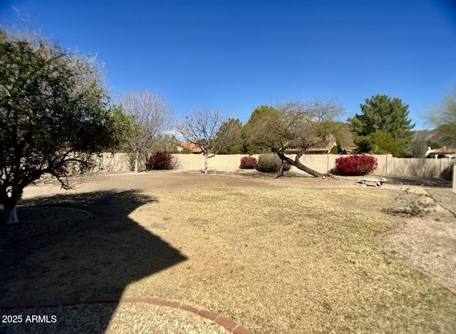 view of yard with a fenced backyard