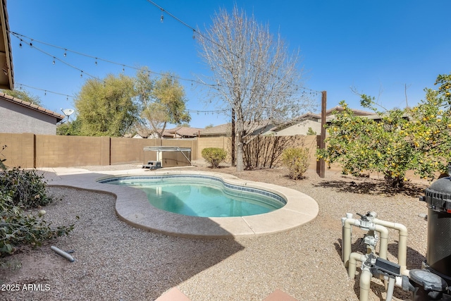 view of pool featuring a patio area, a fenced backyard, and a fenced in pool