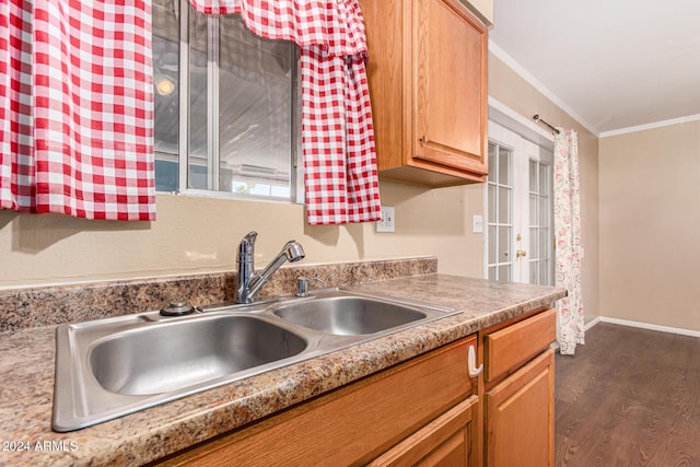 kitchen featuring dark hardwood / wood-style flooring, ornamental molding, and sink