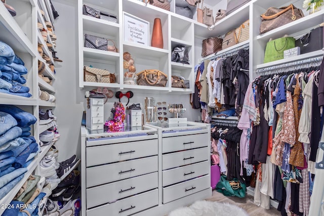 walk in closet featuring light wood-type flooring