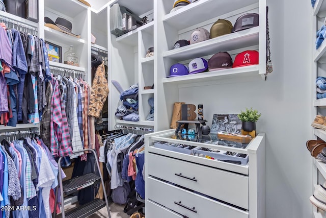 view of spacious closet