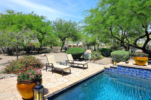 view of swimming pool featuring a patio area, a fenced backyard, and a fenced in pool