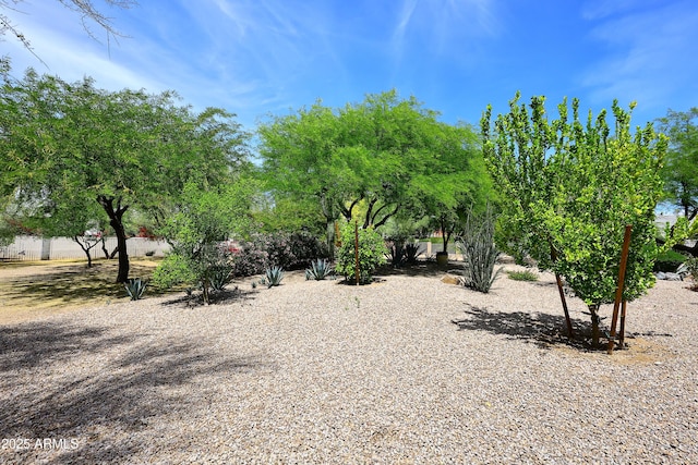 view of yard with fence