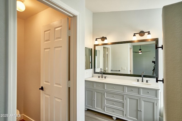 full bathroom featuring wood finished floors, a sink, and double vanity