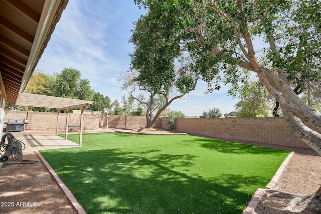 view of yard featuring a fenced backyard and a patio