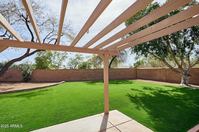 view of yard with a patio area and a fenced backyard