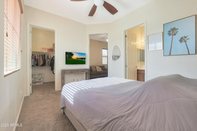 carpeted bedroom with a walk in closet, a closet, connected bathroom, and ceiling fan